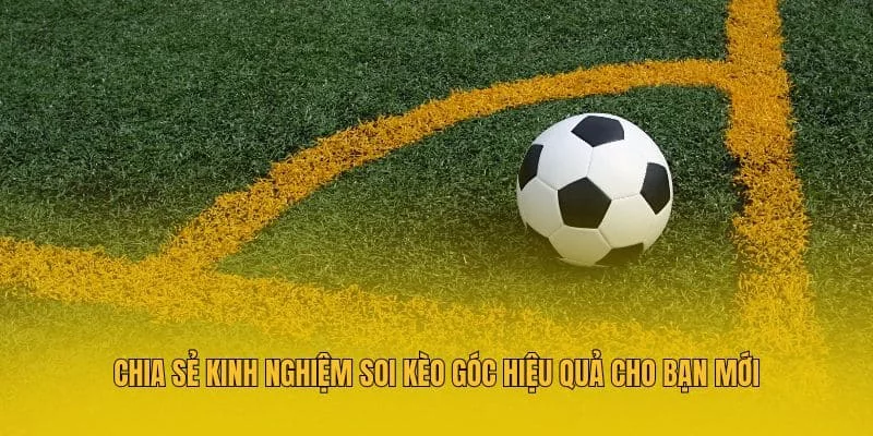 Chia sẻ kinh nghiệm soi kèo góc hiệu quả cho bạn mới Chia sẻ kinh nghiệm soi kèo góc hiệu quả cho bạn mới