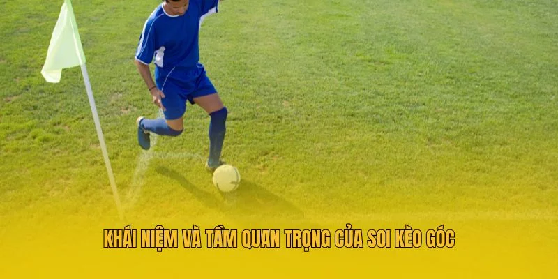 Khái niệm và tầm quan trọng của soi kèo góc Khái niệm và tầm quan trọng của soi kèo góc